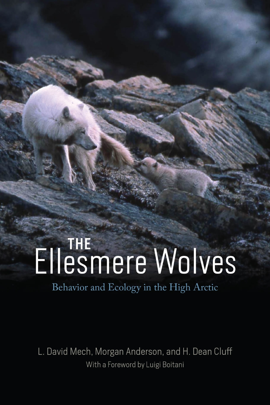 The Ellesmere Wolves